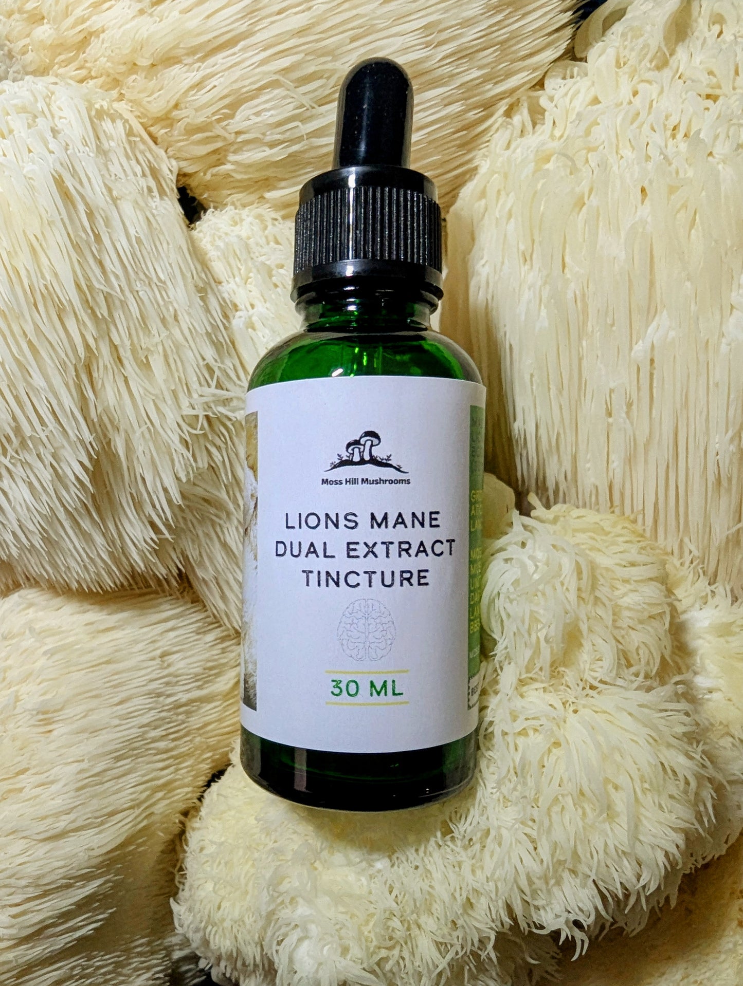 Lions Mane Dual Extract Tincture 30ml