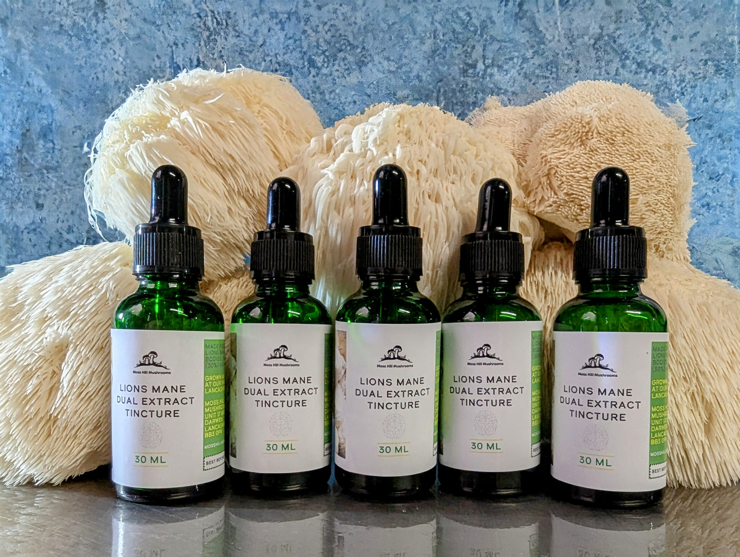 Lions Mane Dual Extract Tincture 30ml