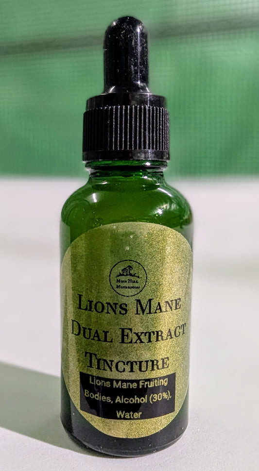 Lions Mane Tincture - 7 Months Aged - 30ml